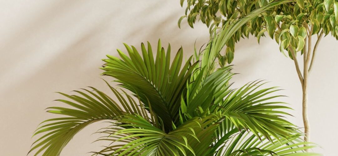 9 Myths About Non-Toxic Living – What You Need To Know