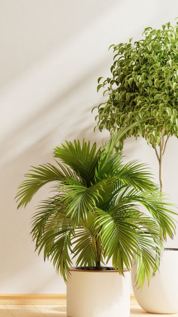 Green plants on a wood floor in a bright sunny room with taupe walls