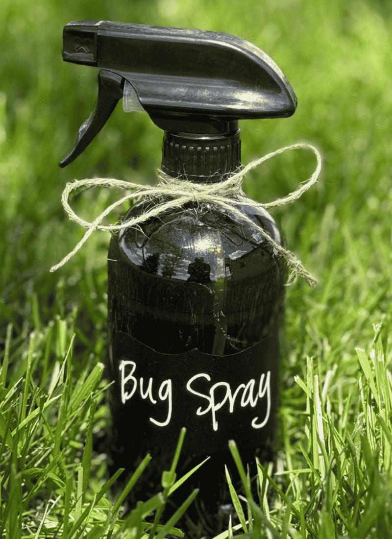 a dark glass spray bottle with sticker noting 'bug spray' sitting in the plush green grass